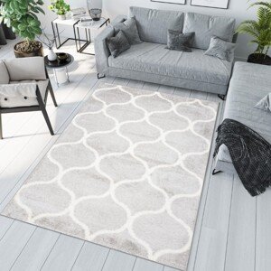 Stílusos szőnyeg egyszerű mintával Szélesség: 120 cm | Hossz: 170 cm