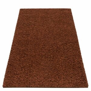 Stílusos sötétbarna szőnyeg magasabb szőrrel Szélesség: 240 cm | Hossz: 330 cm