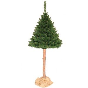 Karácsonyi himalájai fenyőfa törzsön 220 cm